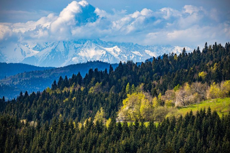 Widok na Tatry, spokój, natura i przestrzeń do bycia sobą…do bycia razem! Zapraszamy w Beskid Wyspowy