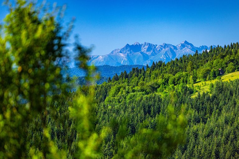 Domek na odludziu i 365 dni relaksu!